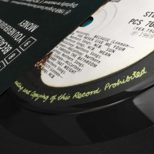 Vinyl Record 3D model c4d