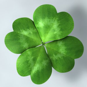 Clover 3D model c4d