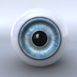Human eye 3D model cinema 4d