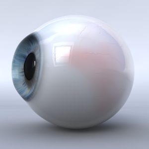 Human eye 3D model c4d