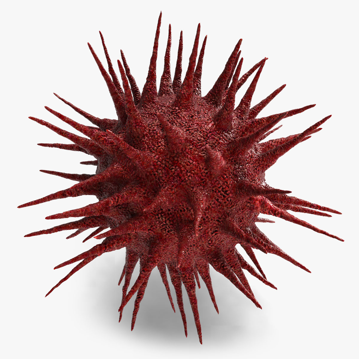 HIV_01b.jpg HIV Cell 3D model