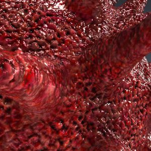 HIV Cell 3D model c4d