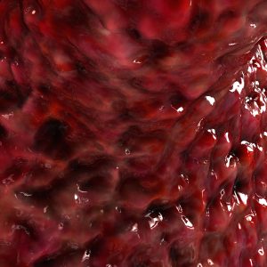 HIV Cell 3D model cinema 4d