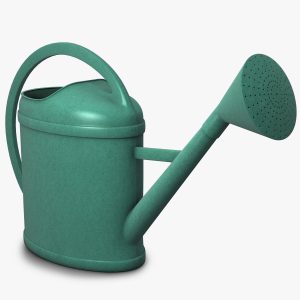 Watering can 3D model