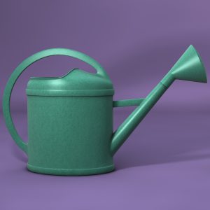 Watering can 3D model c4d