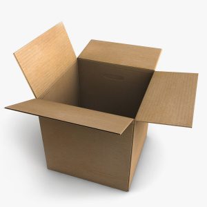 Cardboard Box 3D model