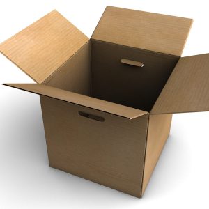 Cardboard Box 3D model c4d