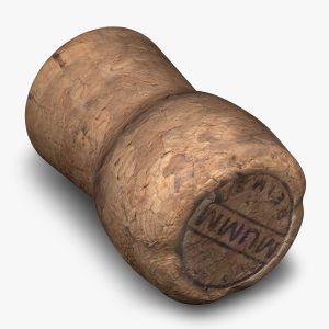 Champagne Cork 3d model