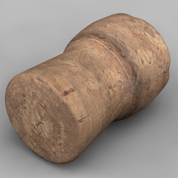 Champagne Cork 3d model c4d
