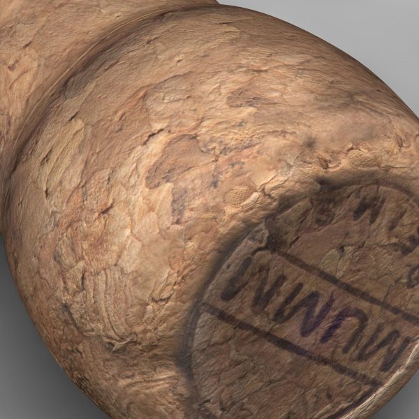 Champagne Cork 3d model cinema 4d