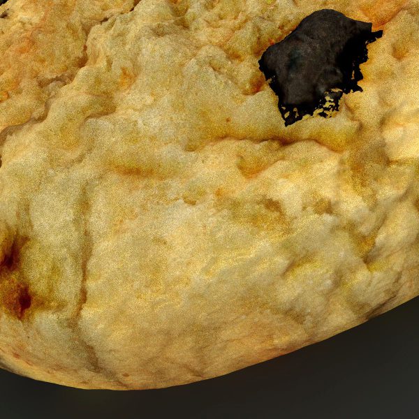 Cookie 3D model cinema 4d