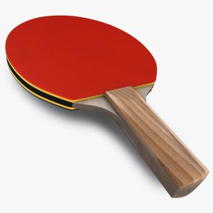 Ping pong 3D model