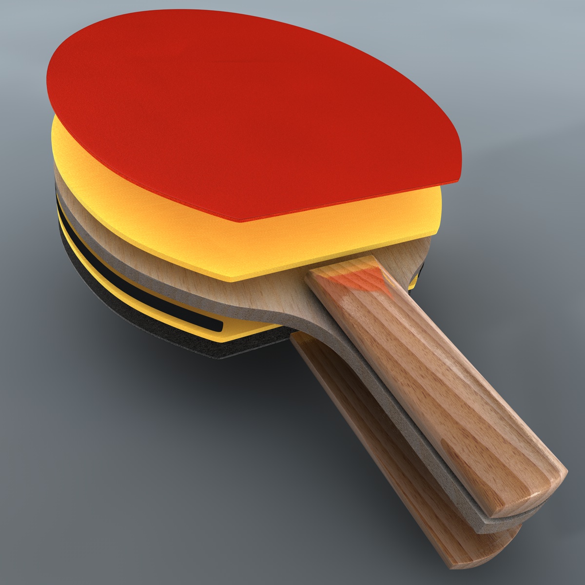 pingpong_05.jpg Ping pong 3D model c4d