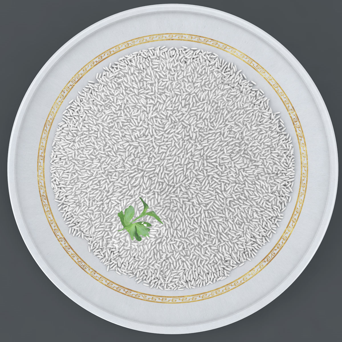 rice_06.jpg Rice 3D model c4d