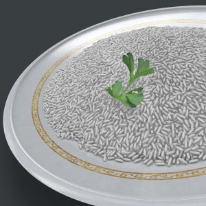 Rice 3D model cinema 4d