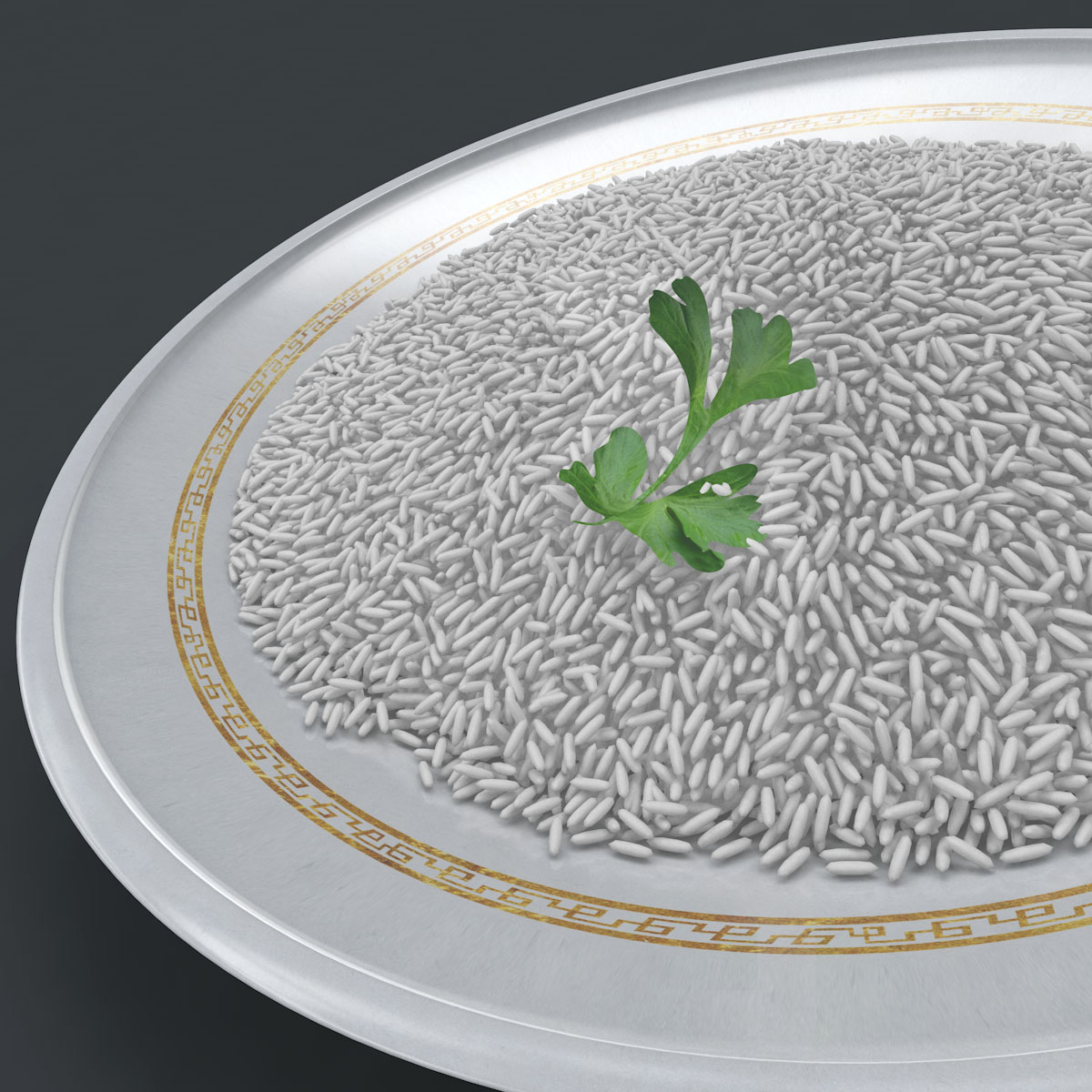 rice_07.jpg Rice 3D model cinema 4d