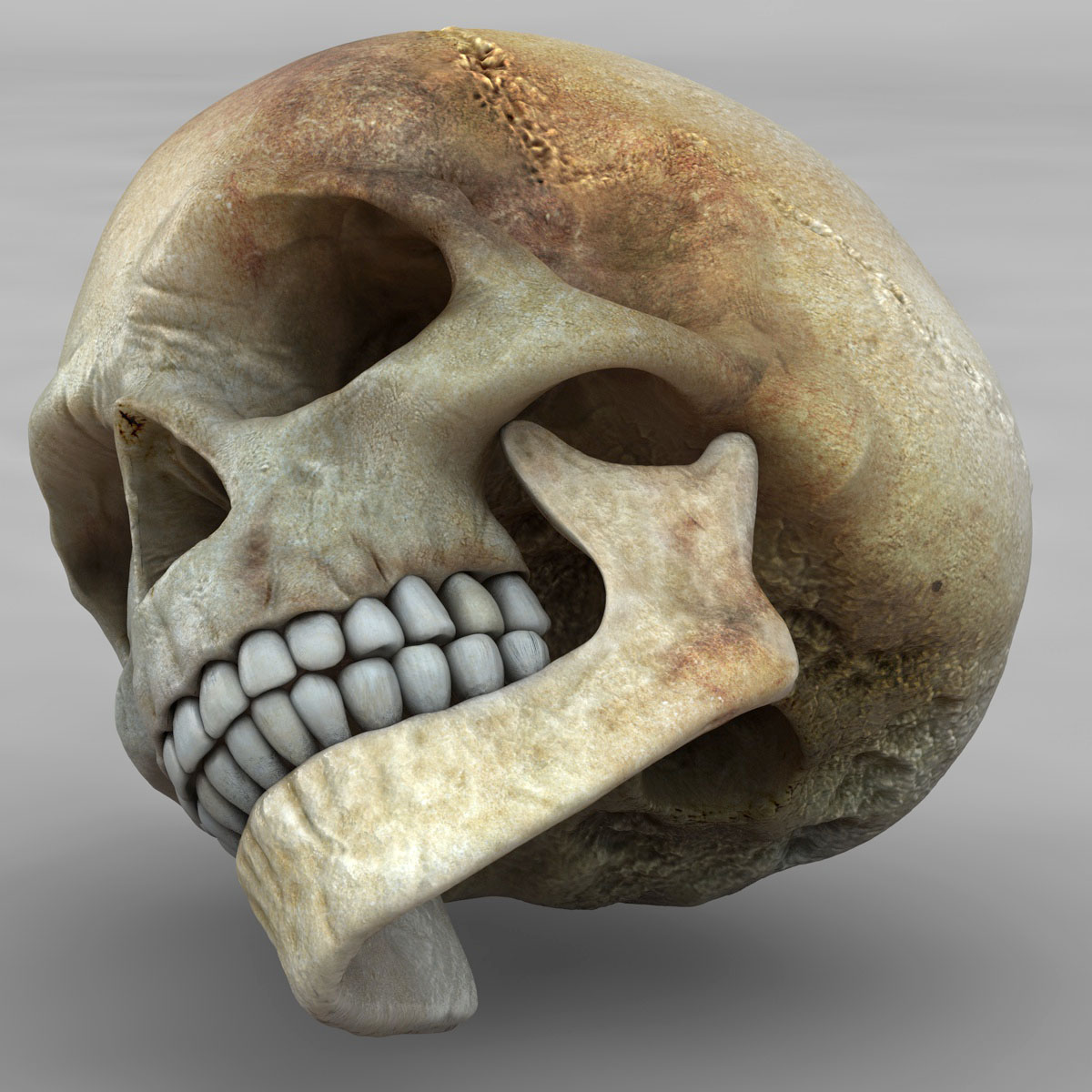 skull_10.jpg