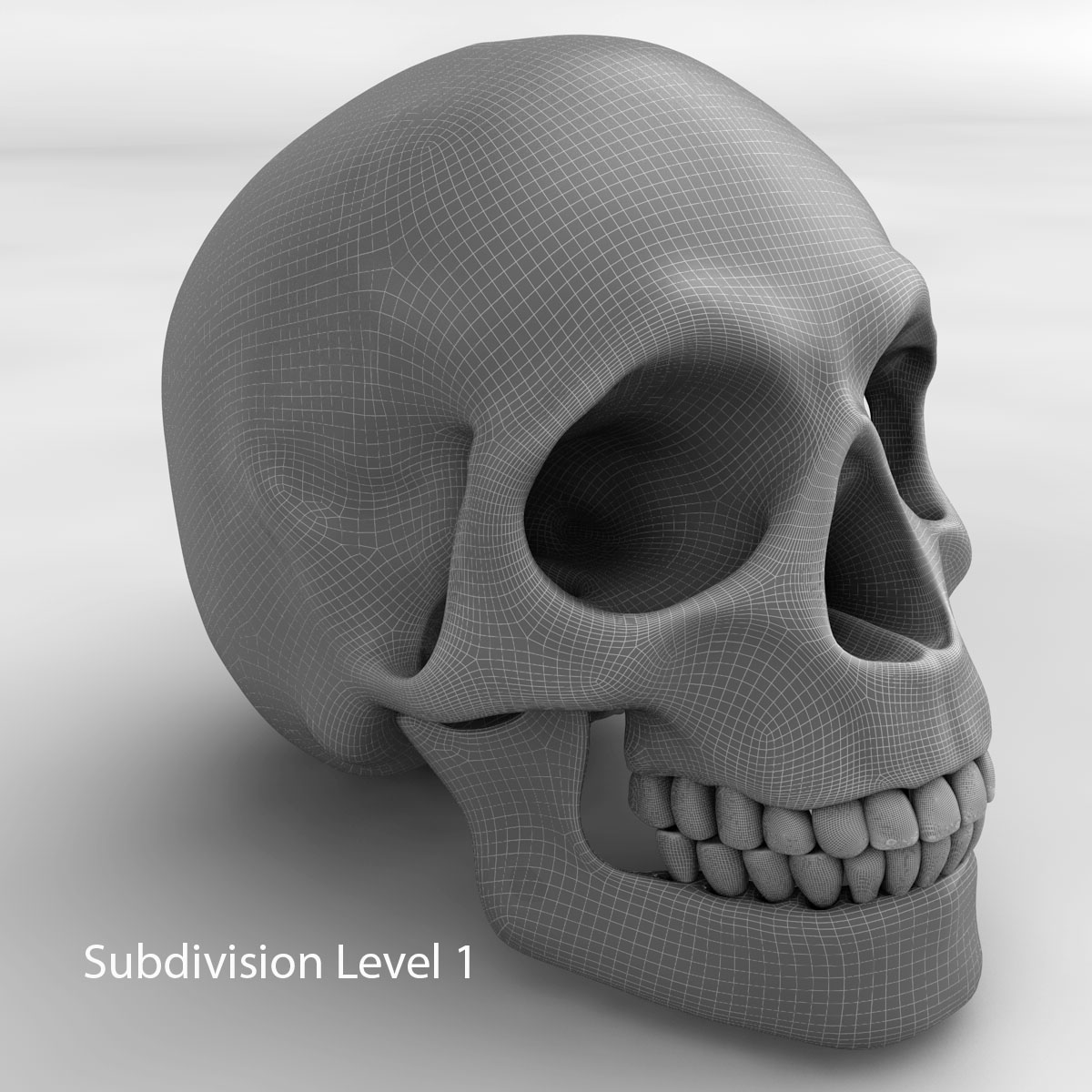 skull_13.jpg