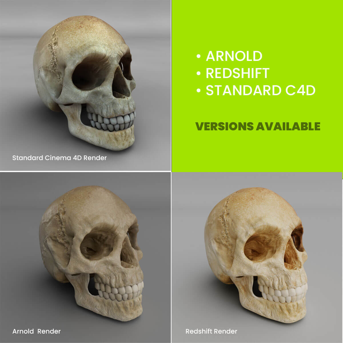 skull_3d_model-c4d-redshift-arnold skull 3d model cinema 4d Redshift & Arnold